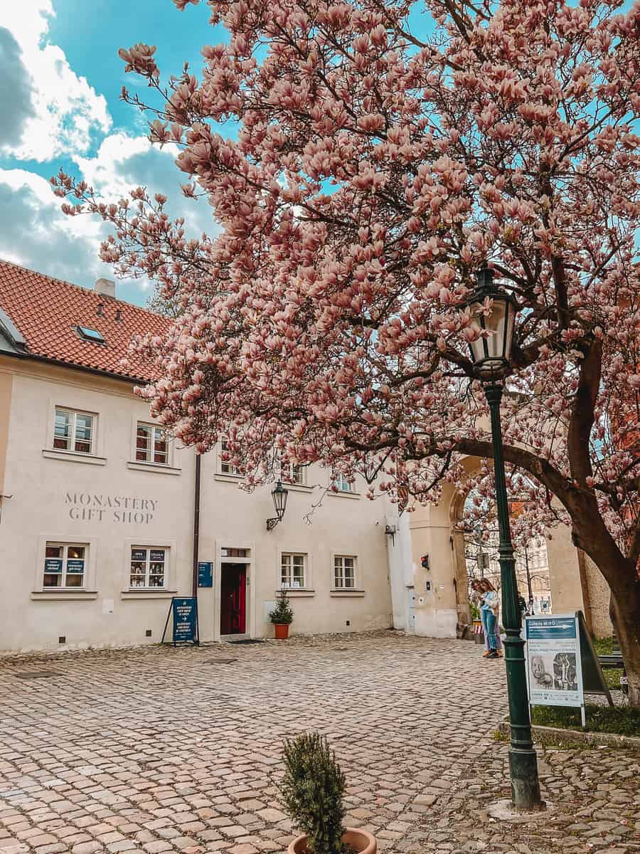 Strahov Monastery gift shop