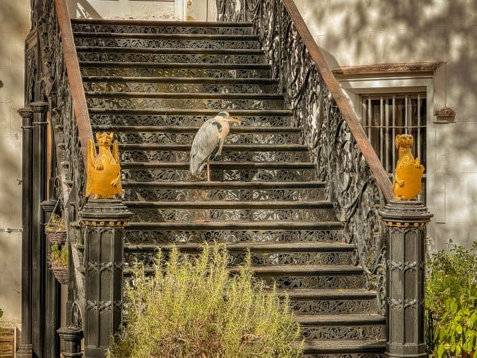 Strawberry Hill House - Visit Horace Walpole’s Little Gothic Castle (2026)! 27 Horace the Heron