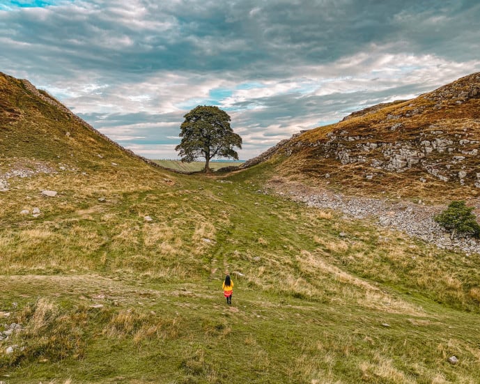 Trees on Hillock near Walltown Hadrian's Wall Path National Trail