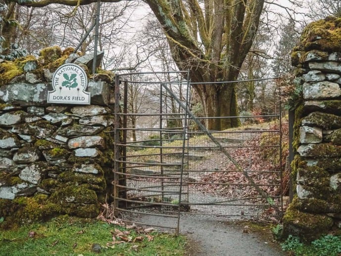 Dora's Field, Rydal