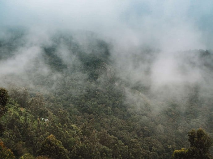 Top Station Munnar viewpoint