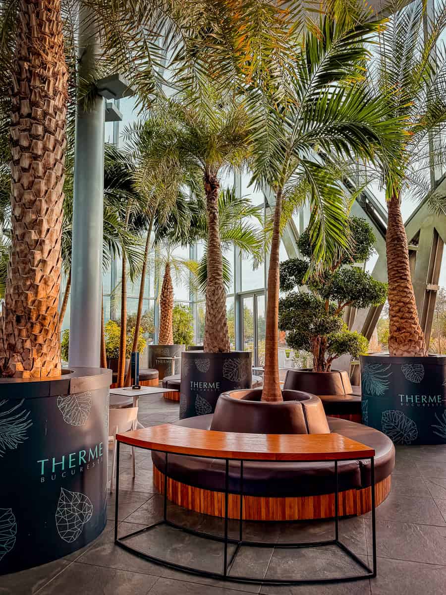 Thermae Bucharest Review (2026) - Is this Viral Spa Worth the Hype? 13 Thermae Bucharest Review Is it worth it