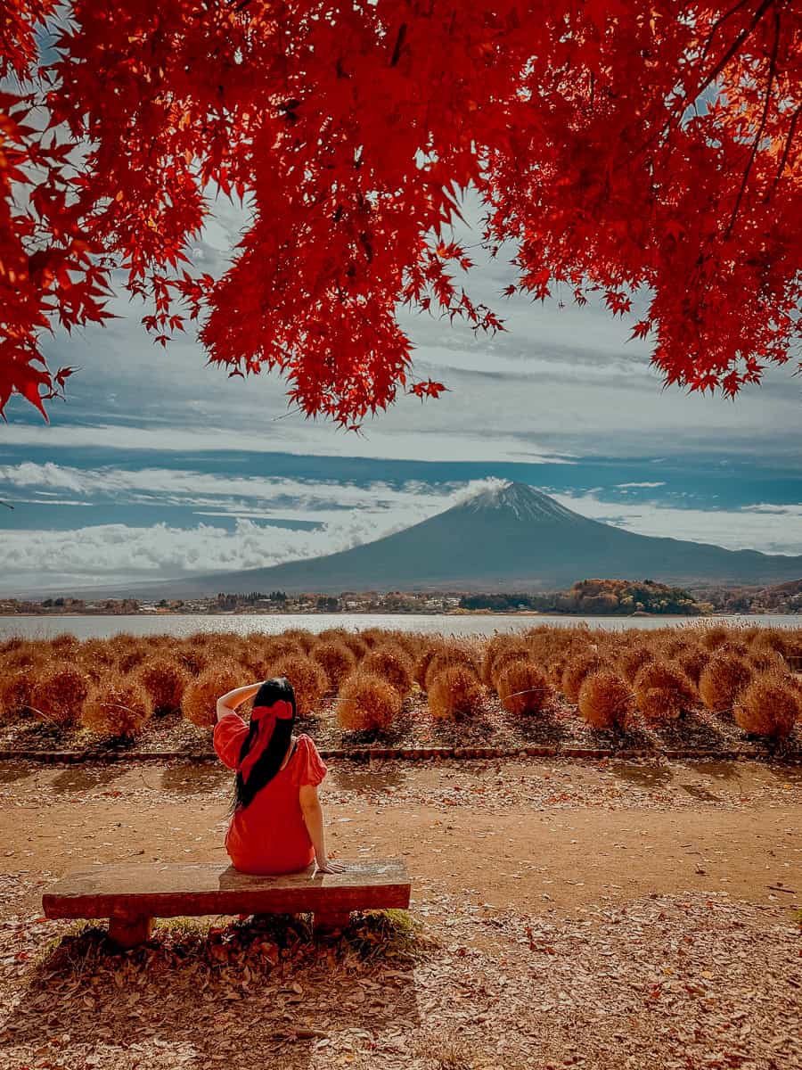 Oishi Park Mount Fuji Lake Kawaguchi