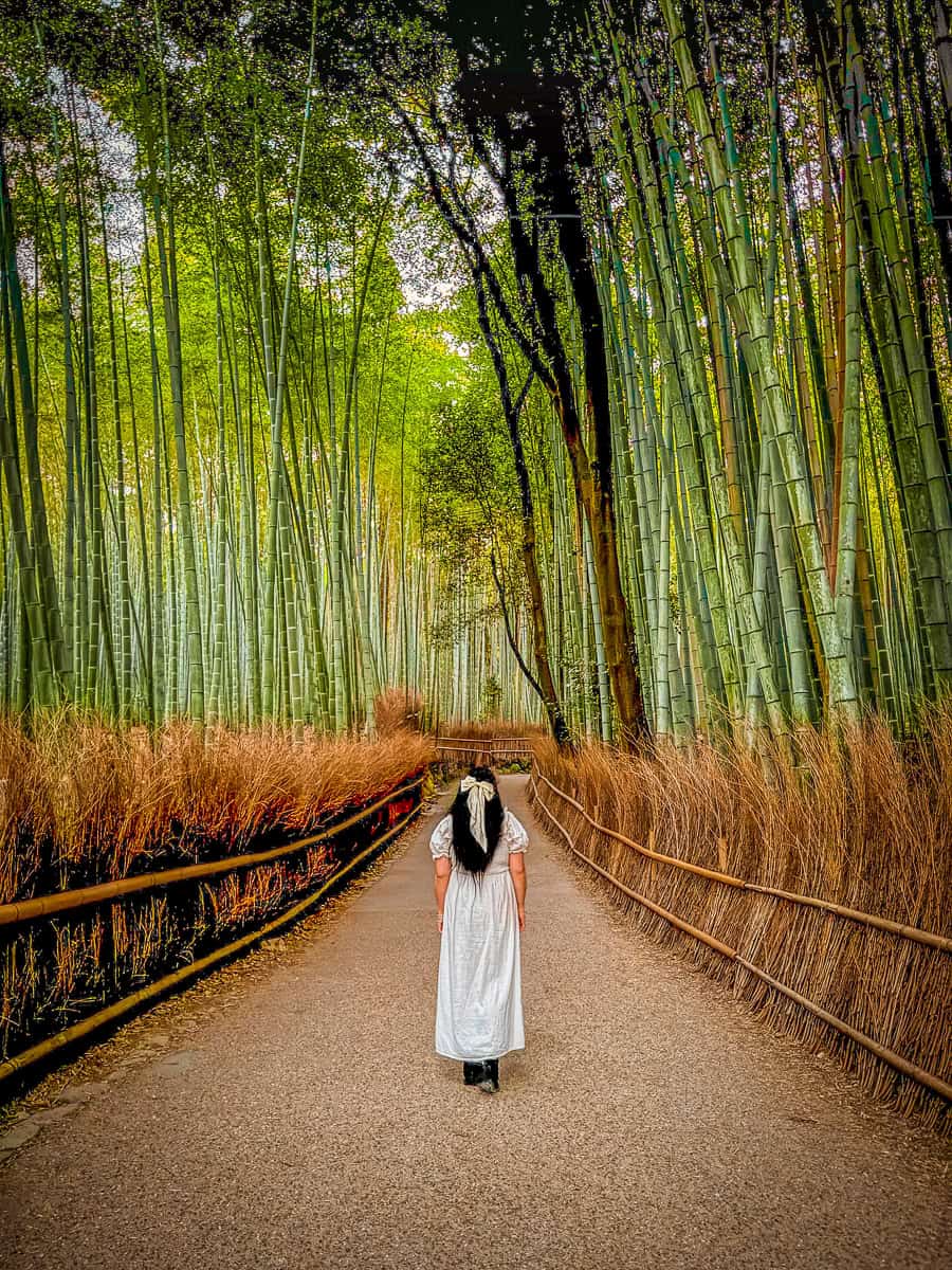 12+ Magical Things to Do in Arashiyama on a Day Trip from Kyoto (2026)! 7 Arashiyama Bamboo Forest