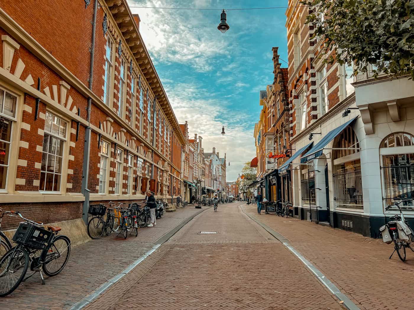 25+ Things To Do In Haarlem Netherlands That Make It Worth Visiting (2024)!