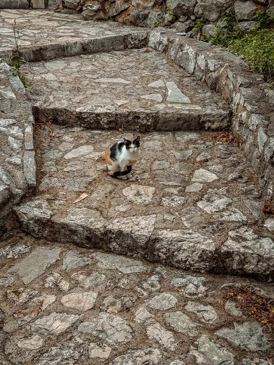 Things to Do in Počitelj - Medieval Village in Bosnia & Herzegovina (2026)! 27 Things to do in Pocitelj Bosnia