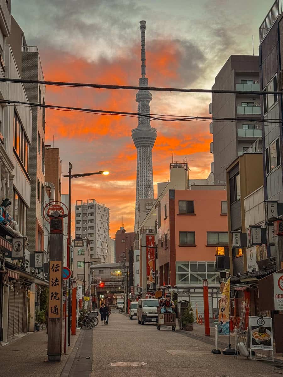 Shibuya Sky Review - Is this Viral Tokyo Viewpoint Worth Booking (2026)? 30 Tokyo SkyTree
