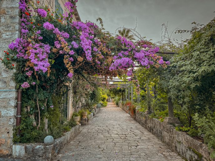 Trsteno Arboretum Game of Thrones Dubrovnik