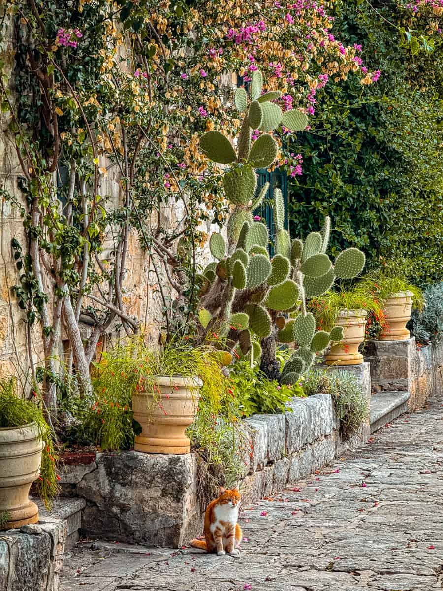 Trsteno Arboretum Game of Thrones Dubrovnik