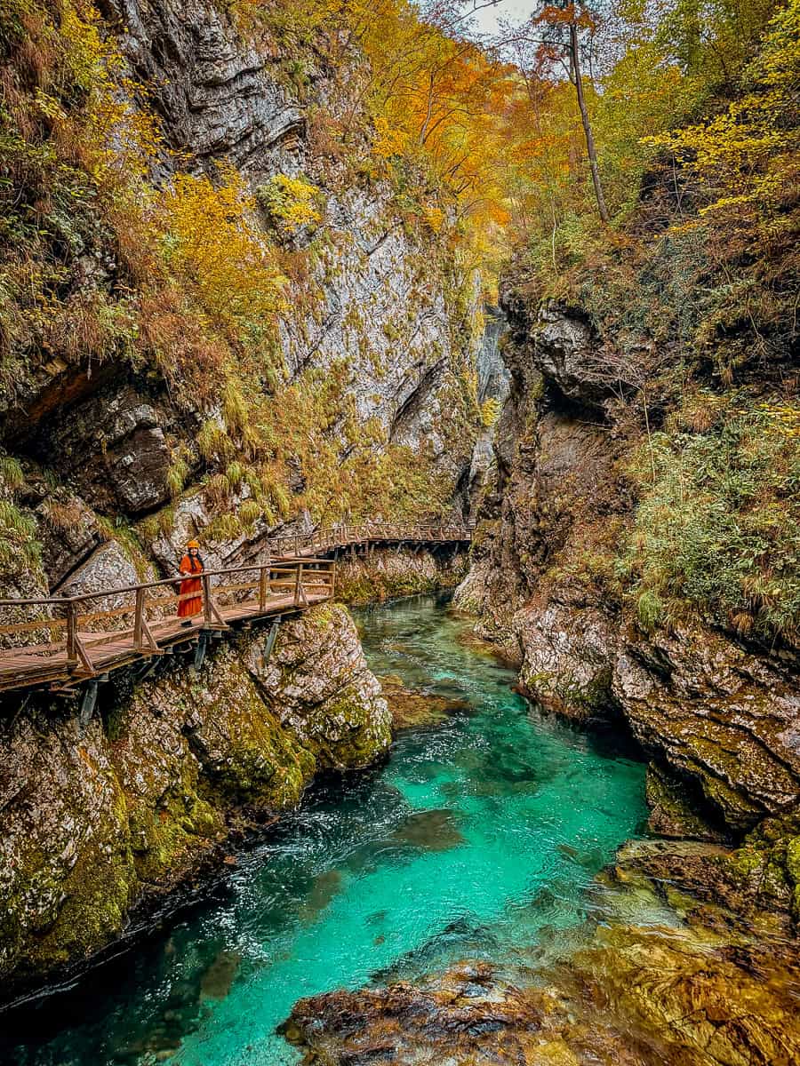 Vintgar Gorge Slovenia