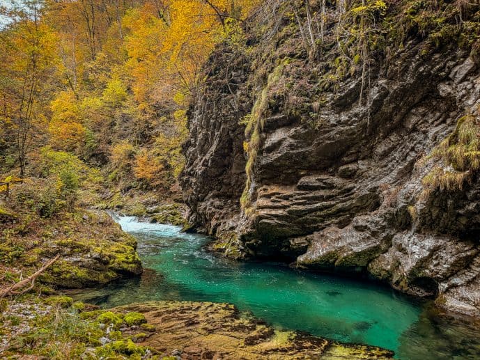 Visiting Vintgar Gorge in Slovenia - Everything You Need To Know (2026)! 39 Vintgar Gorge in Slovenia