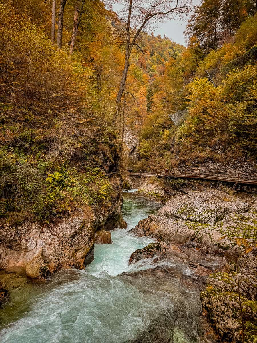 Visiting Vintgar Gorge in Slovenia - Everything You Need To Know (2026)! 37 Vintgar Gorge in Slovenia