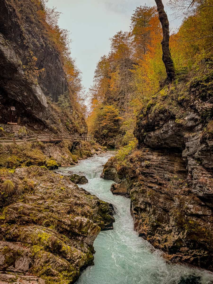 Visiting Vintgar Gorge in Slovenia - Everything You Need To Know (2026)! 23 Vintgar Gorge in Slovenia