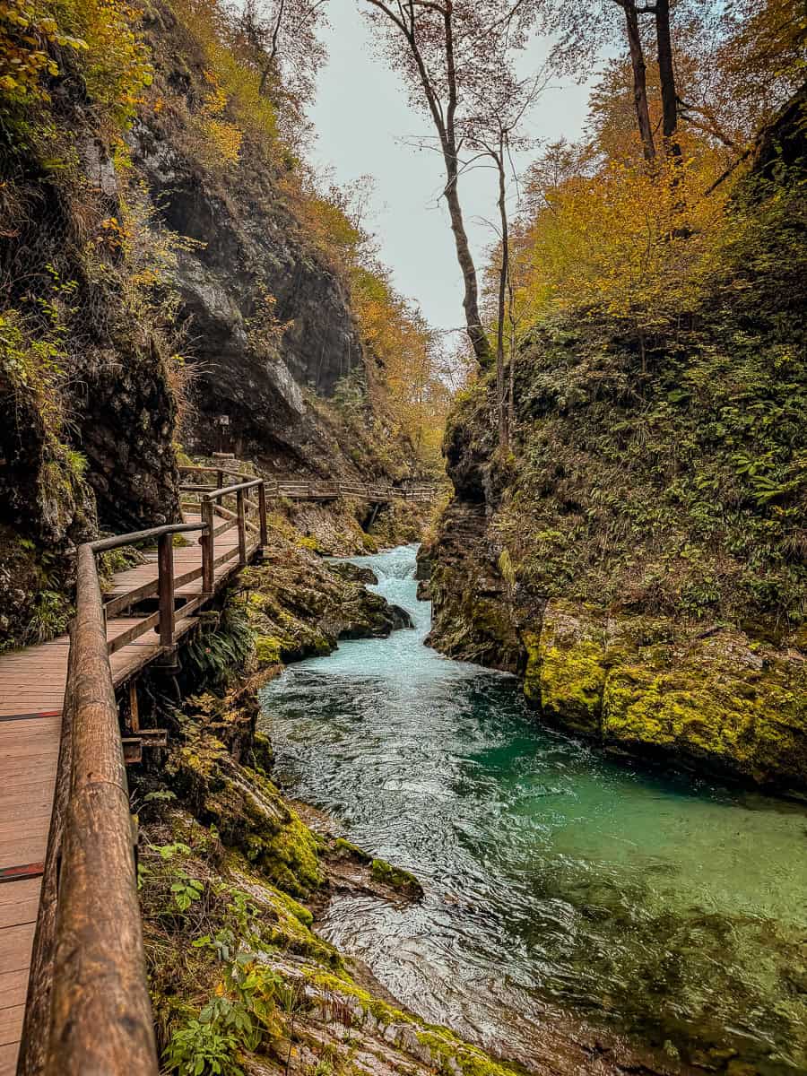 Visiting Vintgar Gorge in Slovenia - Everything You Need To Know (2026)! 24 Vintgar Gorge in Slovenia