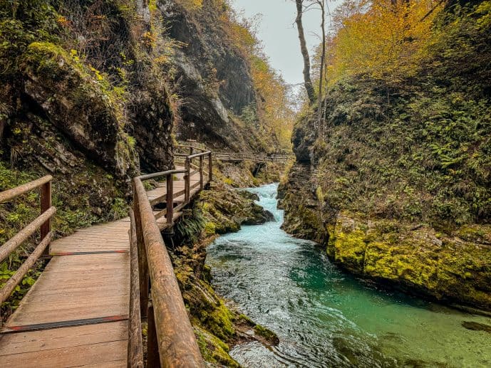 Visiting Vintgar Gorge in Slovenia - Everything You Need To Know (2026)! 2 Vintgar Gorge in Slovenia