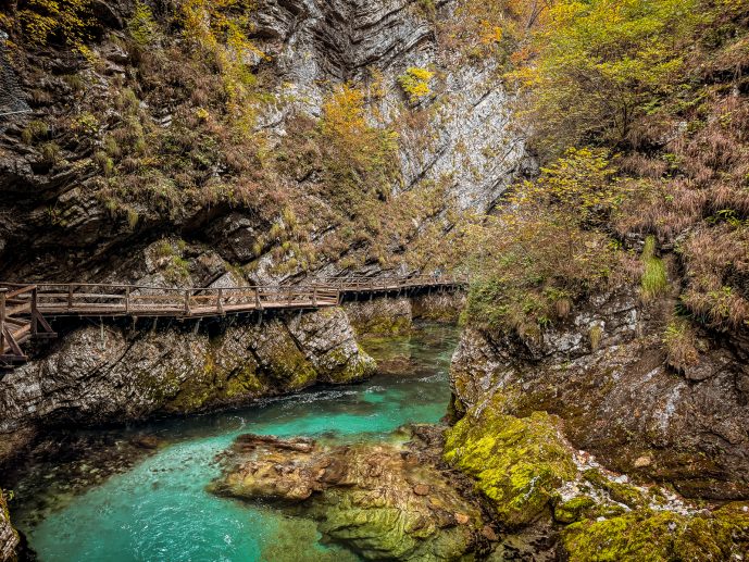 Visiting Vintgar Gorge in Slovenia - Everything You Need To Know (2026)! 34 Vintgar Gorge in Slovenia