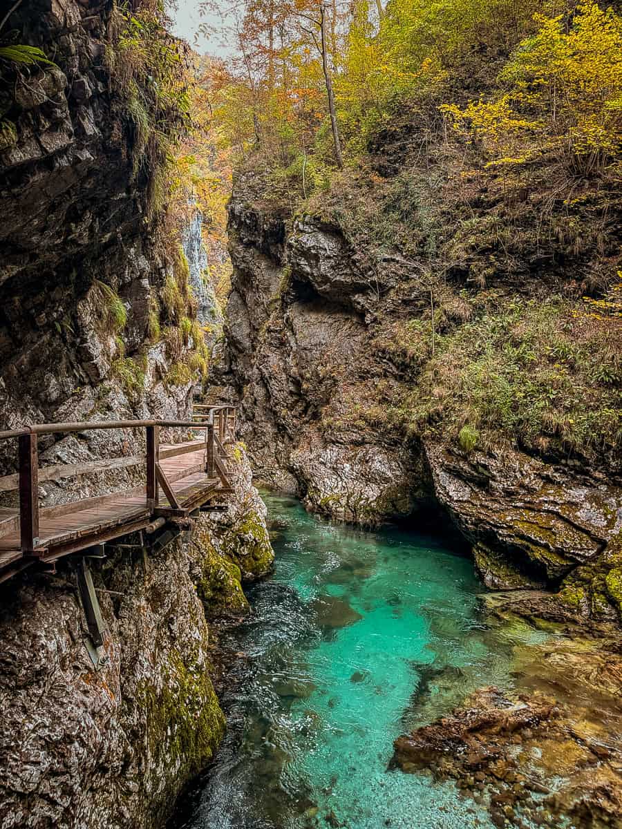 Visiting Vintgar Gorge in Slovenia - Everything You Need To Know (2026)! 26 Vintgar Gorge in Slovenia