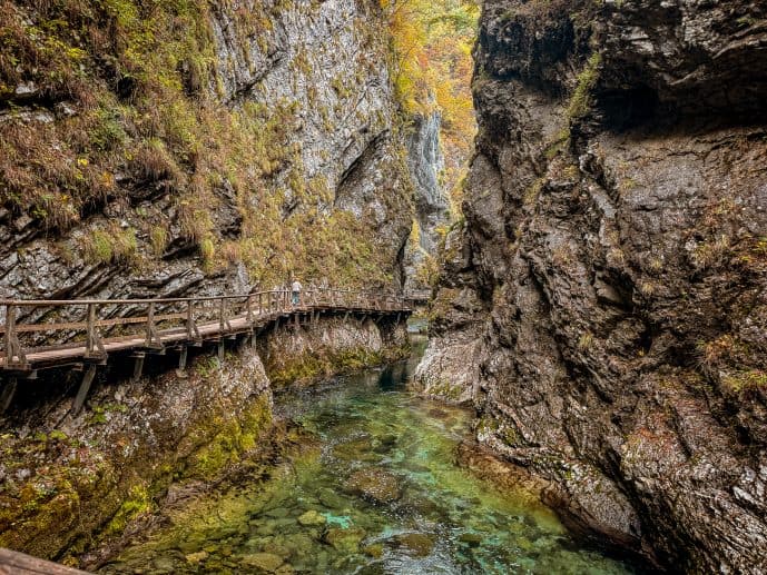 Visiting Vintgar Gorge in Slovenia - Everything You Need To Know (2026)! 3 Vintgar Gorge in Slovenia