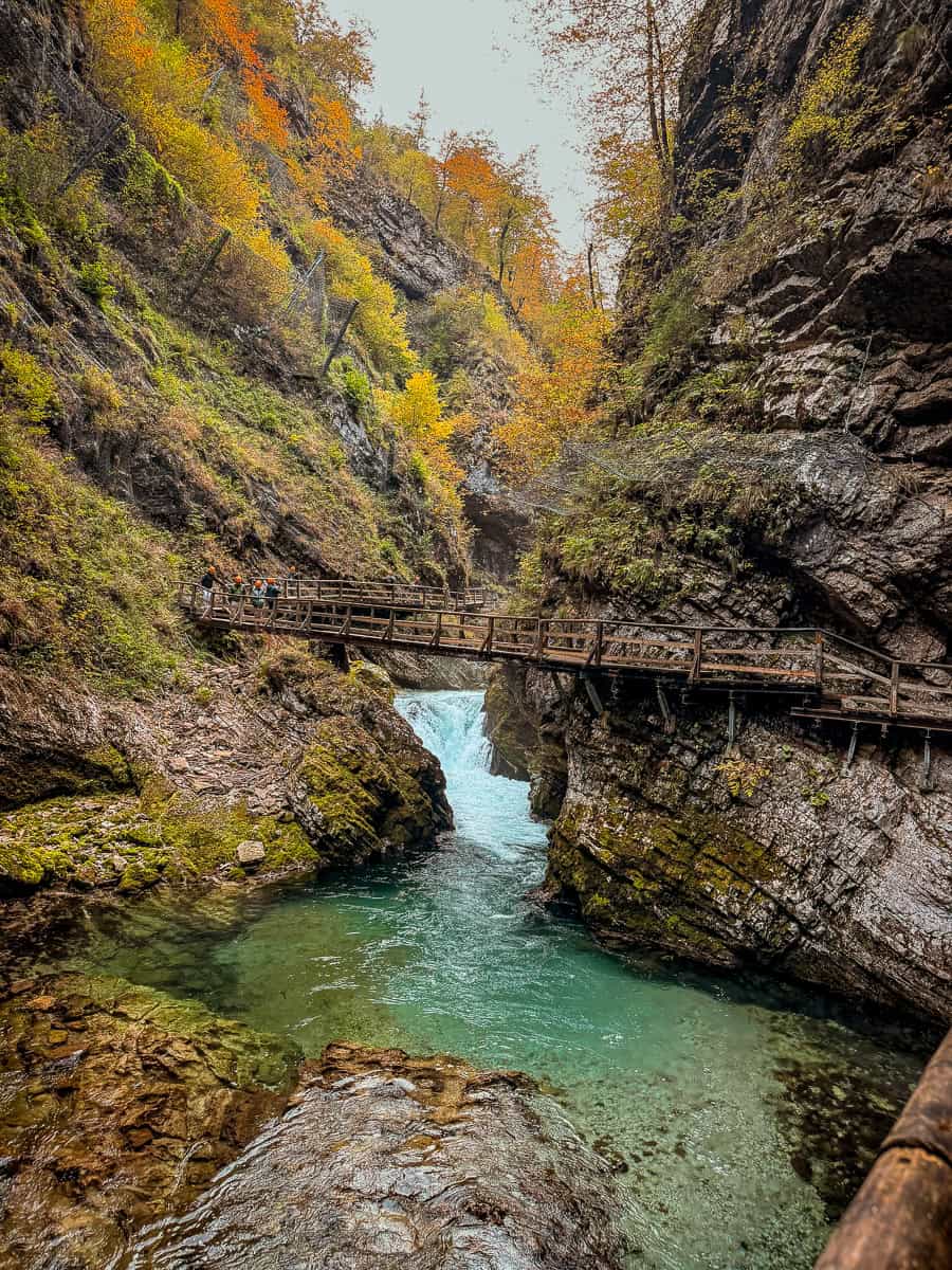 Visiting Vintgar Gorge in Slovenia - Everything You Need To Know (2026)! 21 Vintgar Gorge in Slovenia