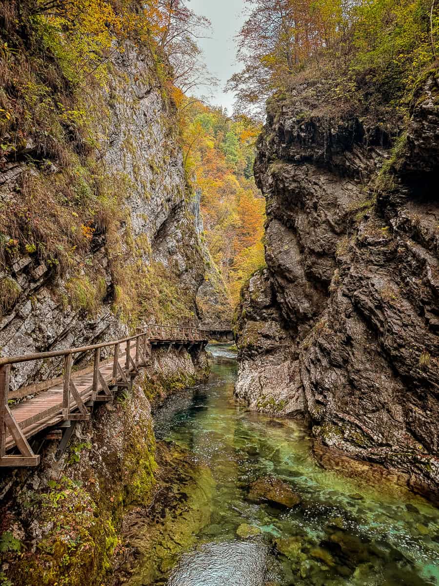 Visiting Vintgar Gorge in Slovenia - Everything You Need To Know (2026)! 7 Vintgar Gorge in Slovenia