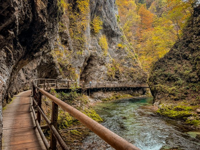 Visiting Vintgar Gorge in Slovenia - Everything You Need To Know (2026)! 5 Vintgar Gorge in Slovenia