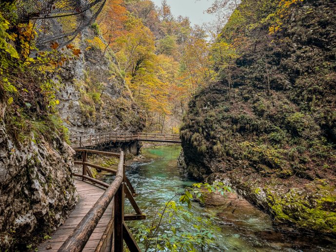 Visiting Vintgar Gorge in Slovenia - Everything You Need To Know (2026)! 36 Vintgar Gorge in Slovenia