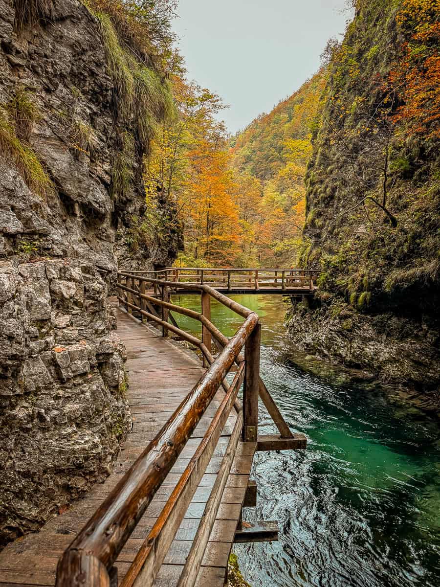 Visiting Vintgar Gorge in Slovenia - Everything You Need To Know (2026)! 35 Vintgar Gorge in Slovenia