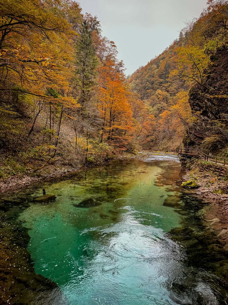 Visiting Vintgar Gorge in Slovenia - Everything You Need To Know (2026)! 28 Vintgar Gorge in Slovenia
