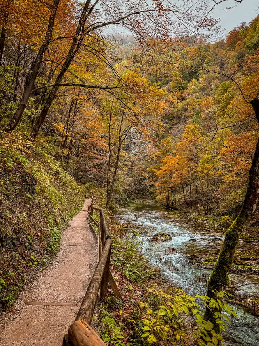 Visiting Vintgar Gorge in Slovenia - Everything You Need To Know (2026)! 29 Vintgar Gorge in Slovenia
