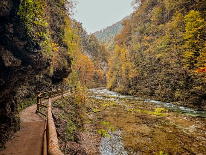 Visiting Vintgar Gorge in Slovenia - Everything You Need To Know (2026)! 27 Vintgar Gorge in Slovenia
