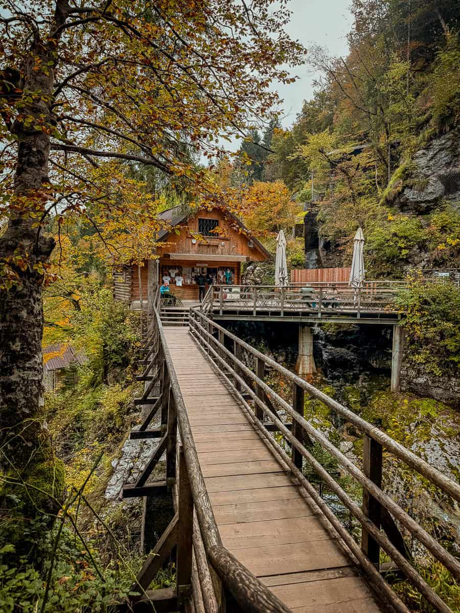 Visiting Vintgar Gorge in Slovenia - Everything You Need To Know (2026)! 33 Vintgar Gorge in Slovenia