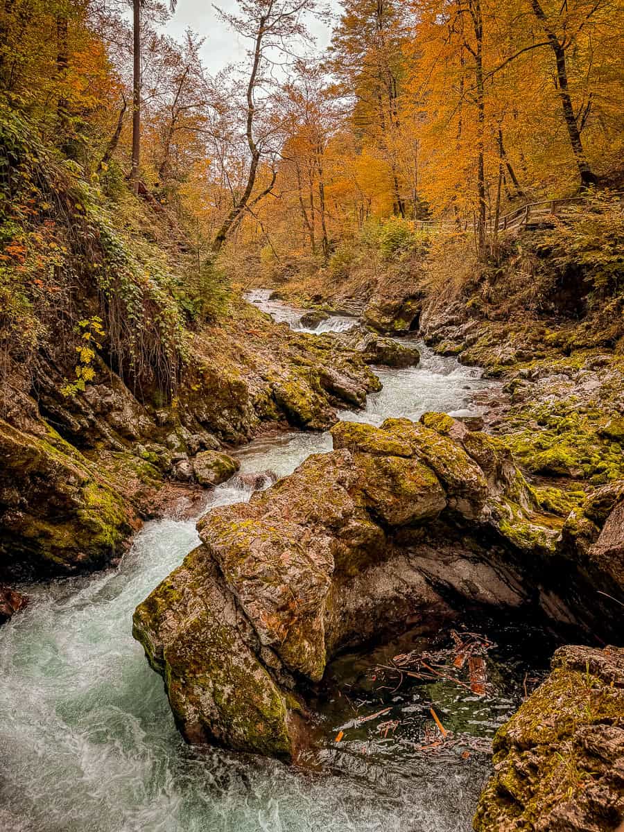 Visiting Vintgar Gorge in Slovenia - Everything You Need To Know (2026)! 15 Vintgar Gorge in Slovenia
