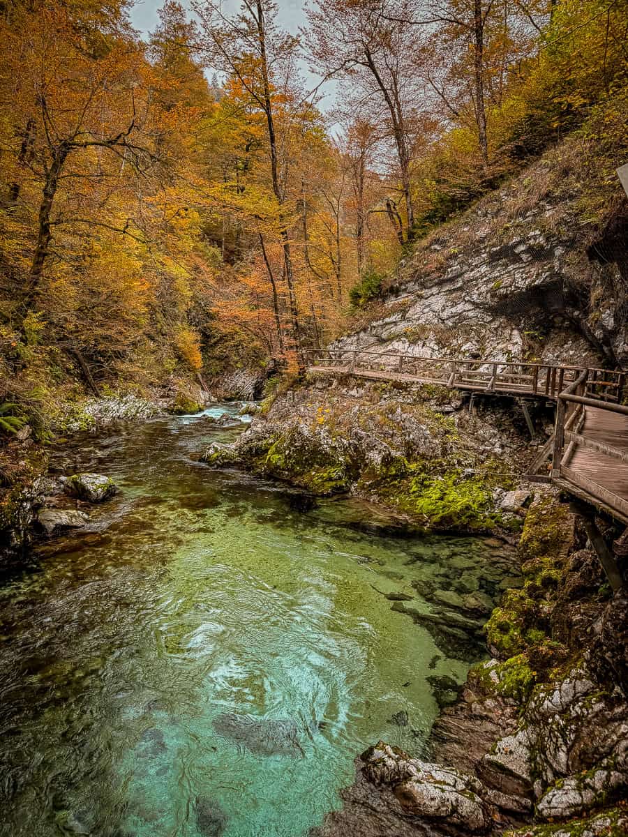 Visiting Vintgar Gorge in Slovenia - Everything You Need To Know (2026)! 8 Vintgar Gorge in Slovenia