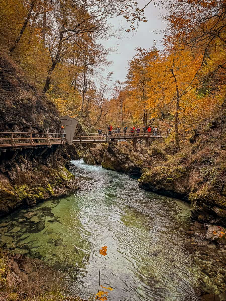 Visiting Vintgar Gorge in Slovenia - Everything You Need To Know (2026)! 16 Vintgar Gorge in Slovenia
