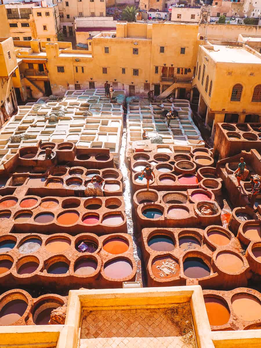 Chouara Tannery - Incredible Fez Tannery In Morocco (2024)!