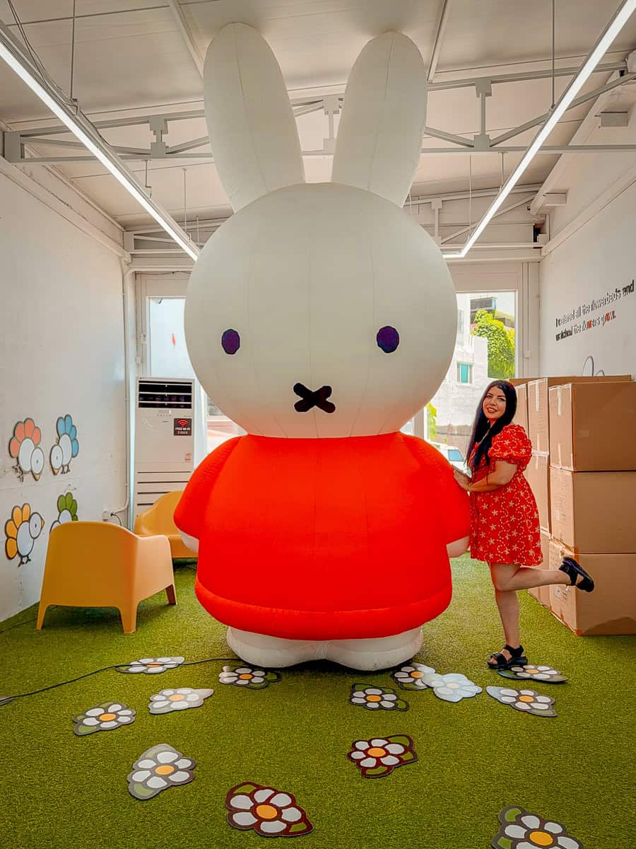 Miffy Café Busan - Is this Whimsical Place Worth Visiting (2026)? 21 Miffy Shop Busan