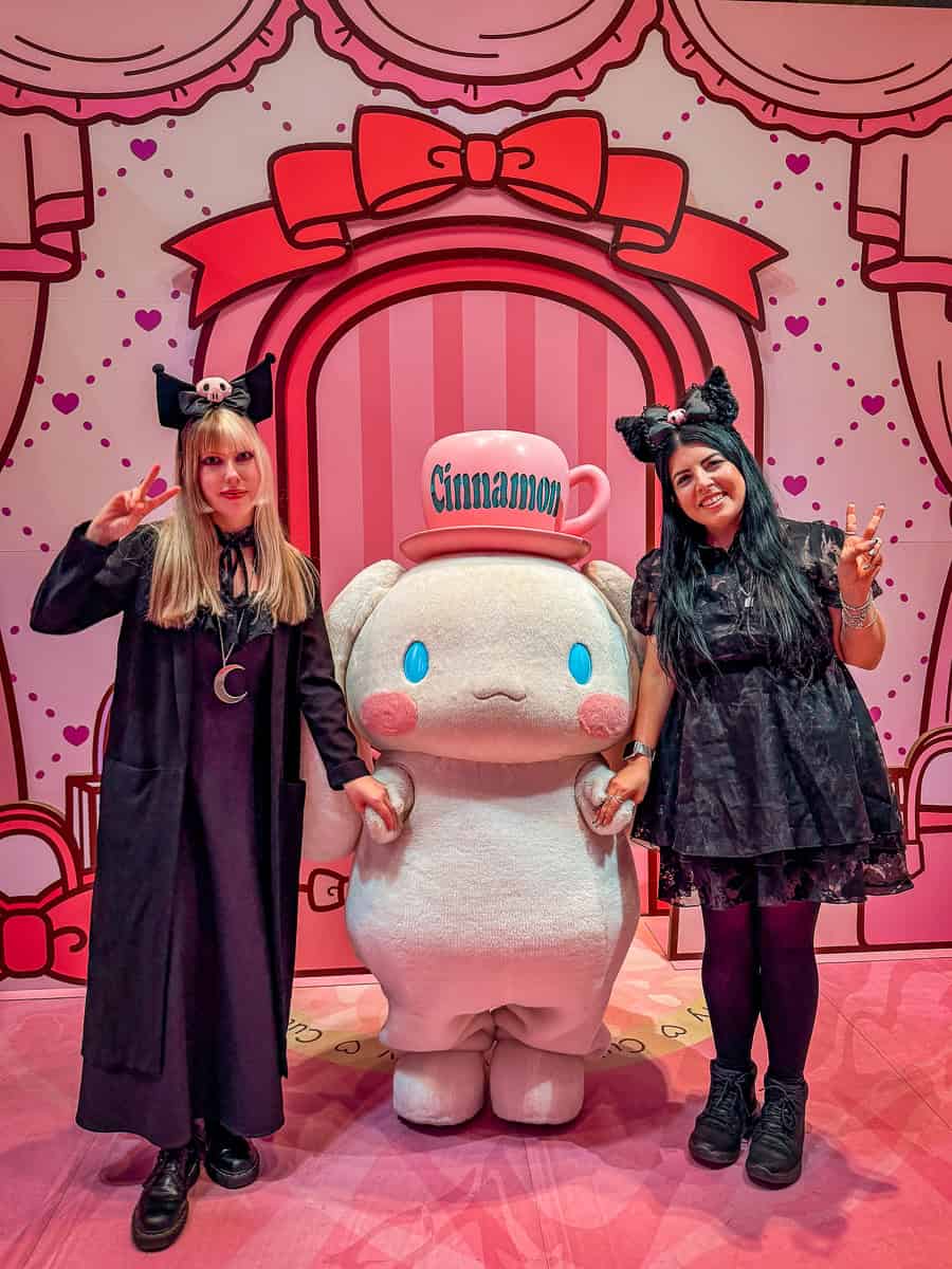 Sanrio Puroland Strawberry Hall Character Greeting Cinnamoroll