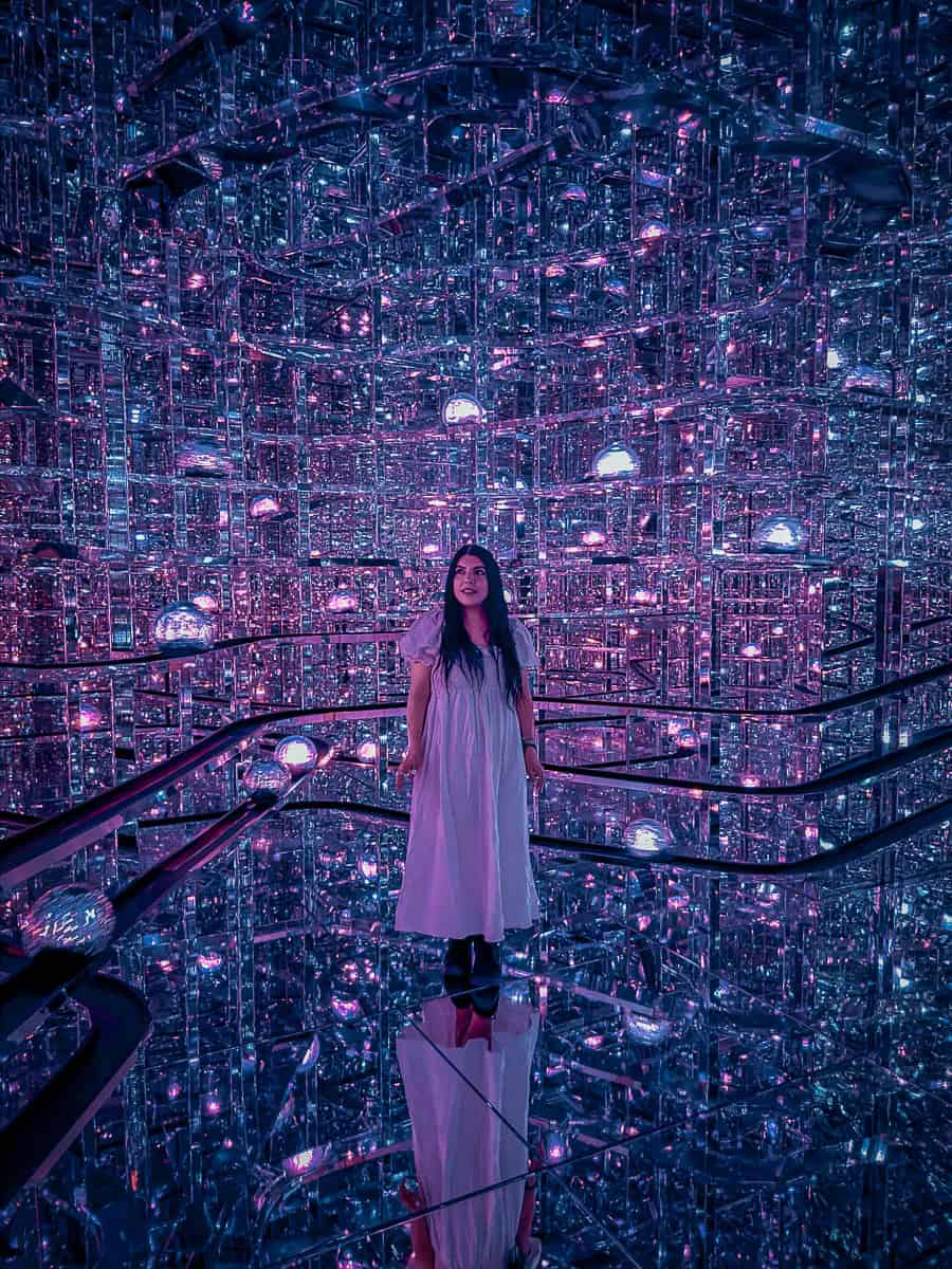 TeamLab Borderless Microcosmoses