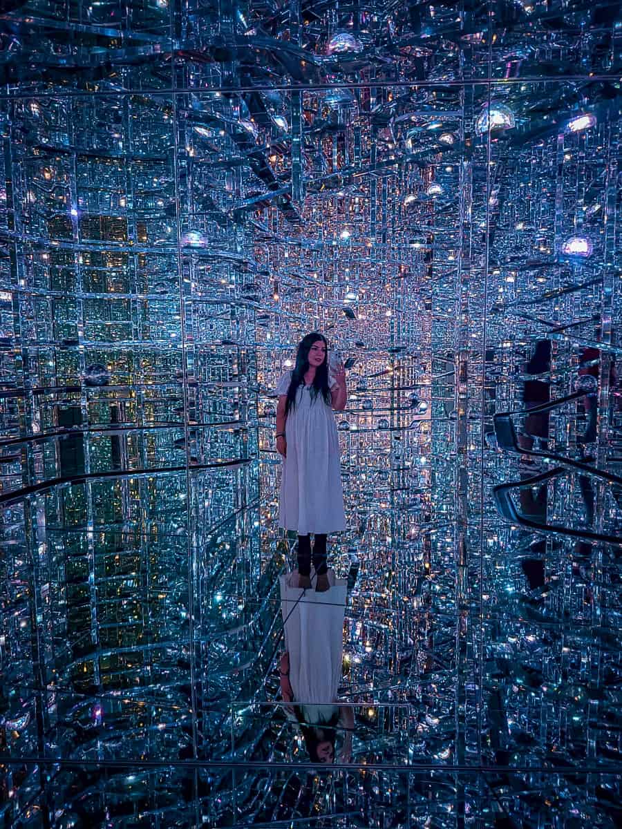 Microcosmoses TeamLab Borderless