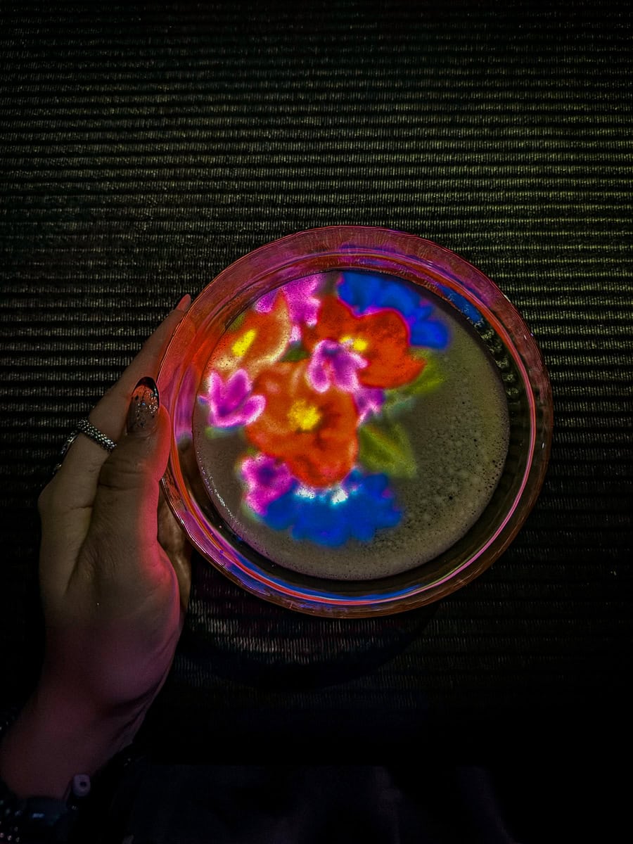 TeamLab Borderless En Tea House