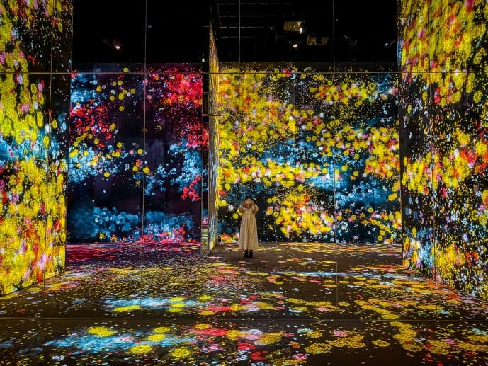 TeamLab Borderless Tokyo worth visiting