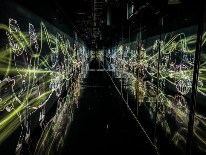 TeamLab Borderless Review