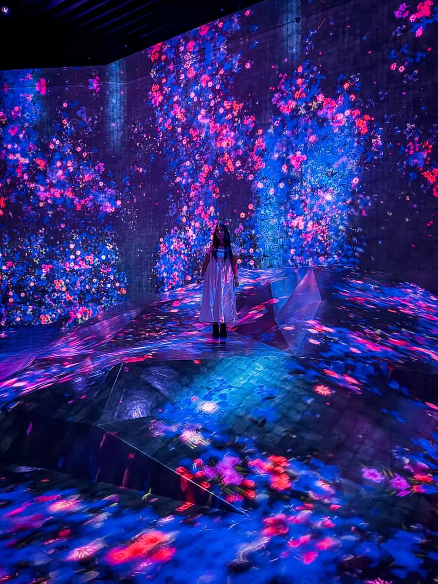 TeamLab Borderless Tokyo