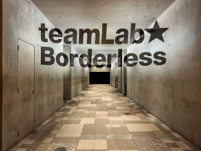 TeamLab Borderless Entrance illusion